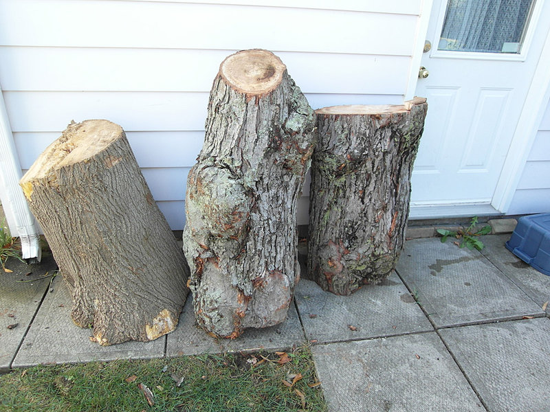 log6
