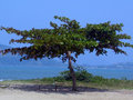 Ubatuba-SP