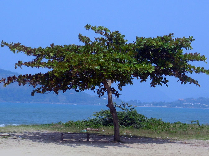Ubatuba-SP