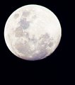 moon.jpg