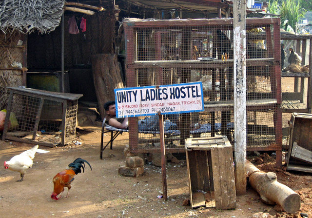Ladies Home