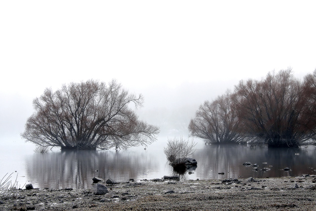 laketekapo.jpg