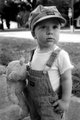 The Engineer