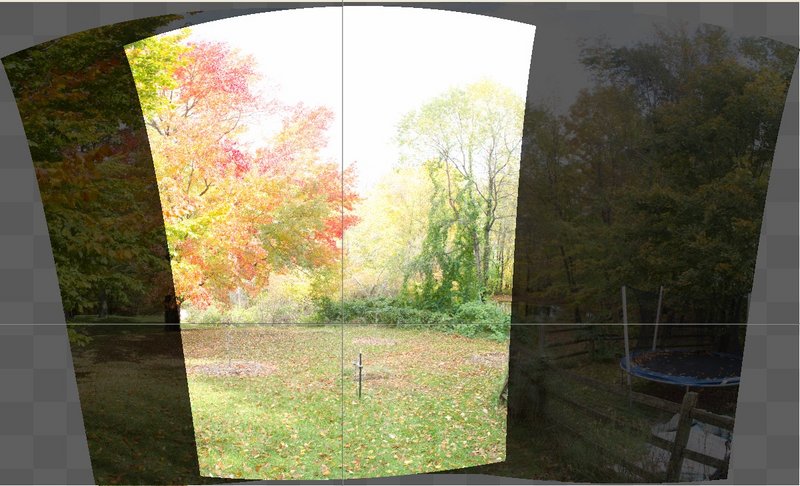 Backyard4.jpg