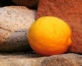Sandstone, River Rock, and Lemon