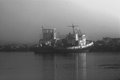 Coastal Fog