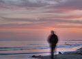 Beachcomber