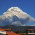 Zaca Fire