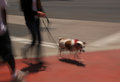 Walking