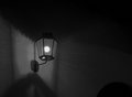 Lamplight No. 2