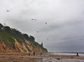 Beach Scene