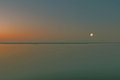 Beyond the Reef