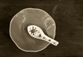 Bowl and Spoon