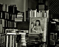 Lost Horizon