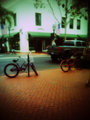 Bicycles on State Street