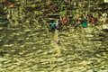 Head Above Water