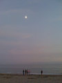 Moon Children