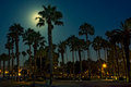 Moonset in the Palm Park Lot