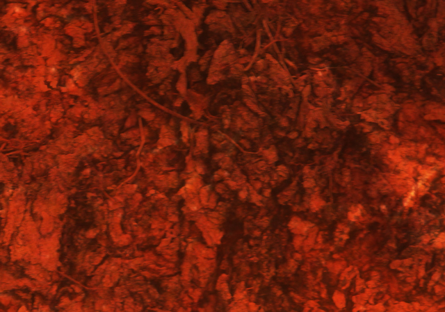 Texture-3