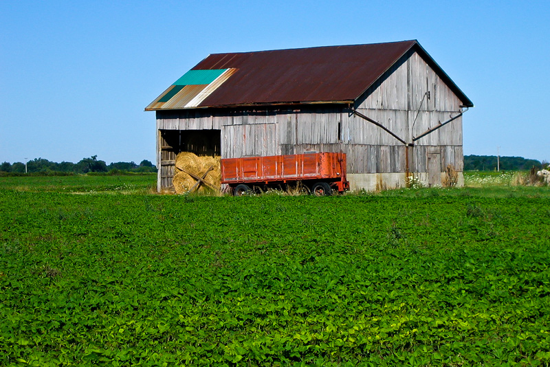 Barn and Wagon 