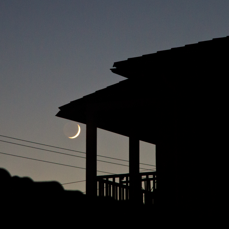 Urban Nocturne