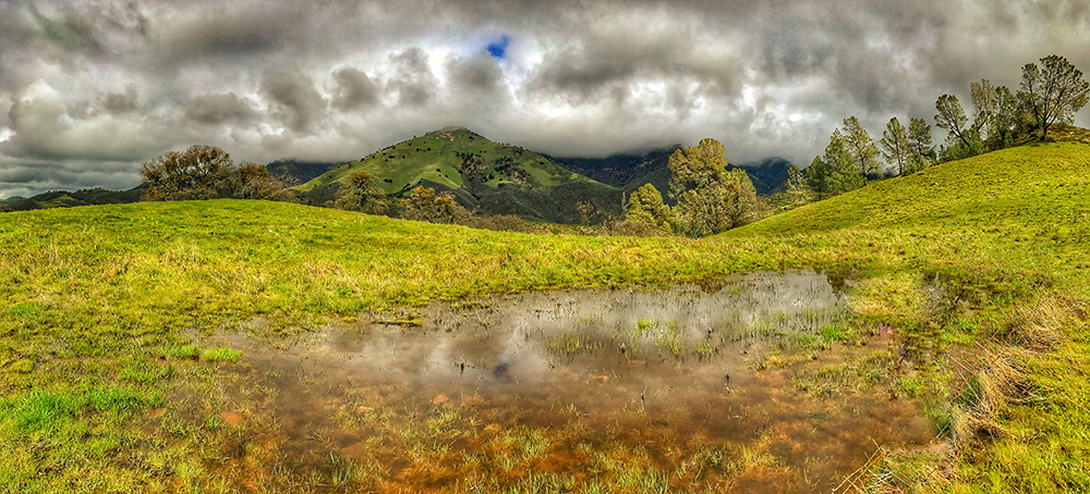 Figueroa Mountain Road