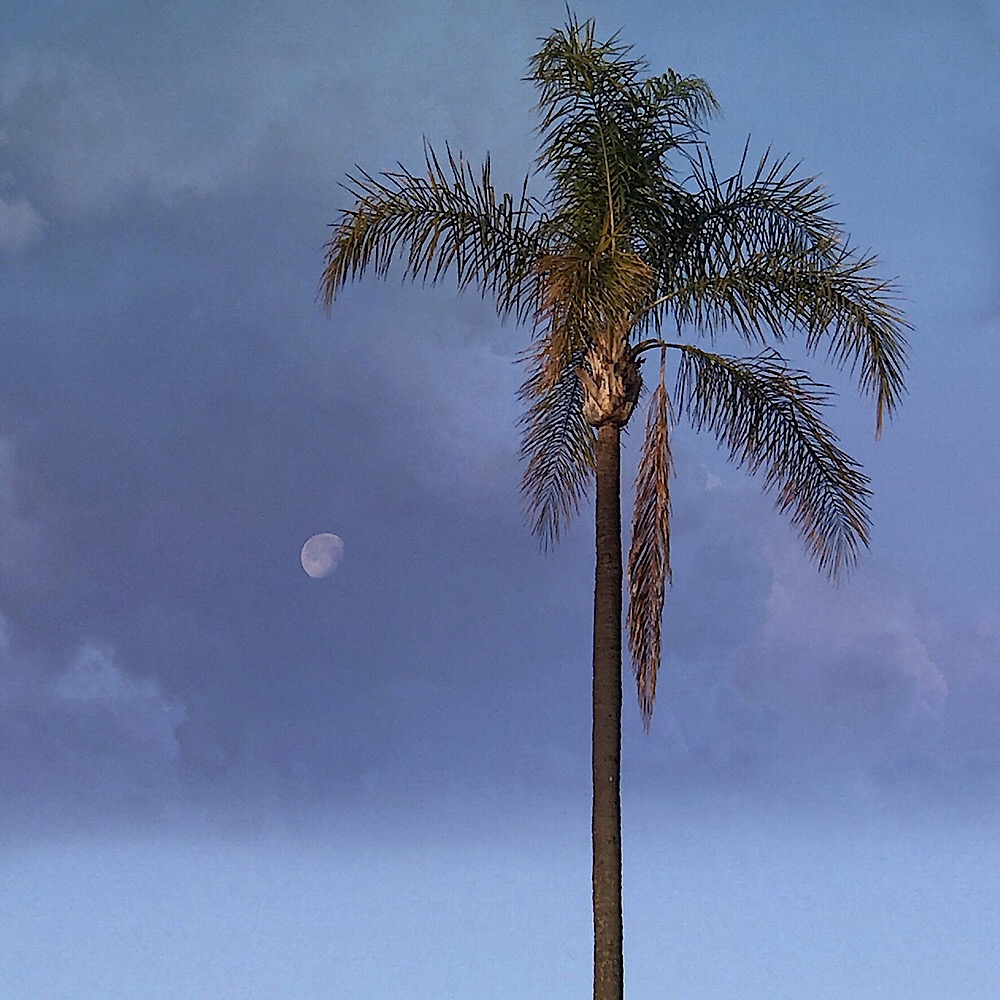 Moonset