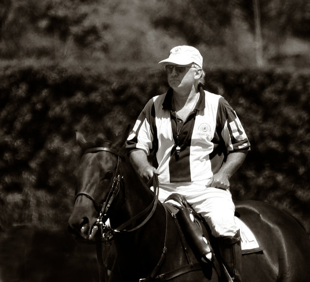 The Umpire