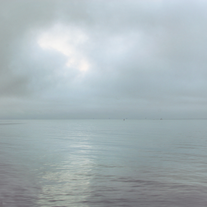Day No. 29