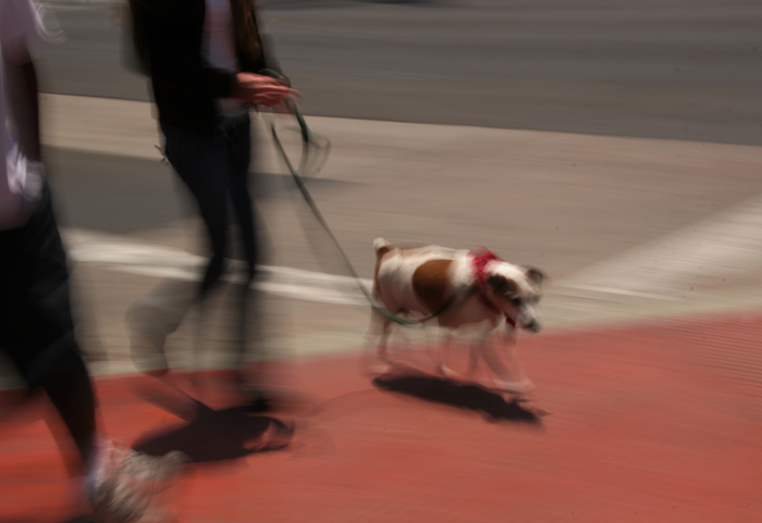 Walking