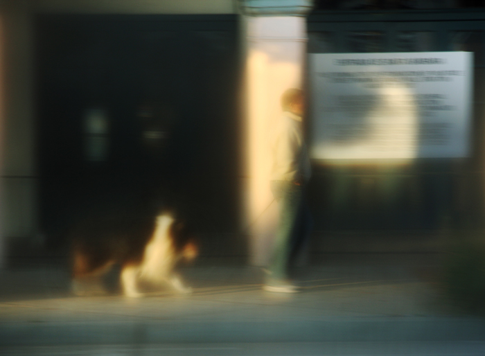 Silk Reflections No. 2