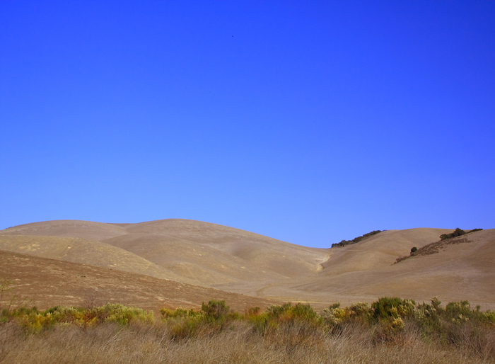 Folded Hills