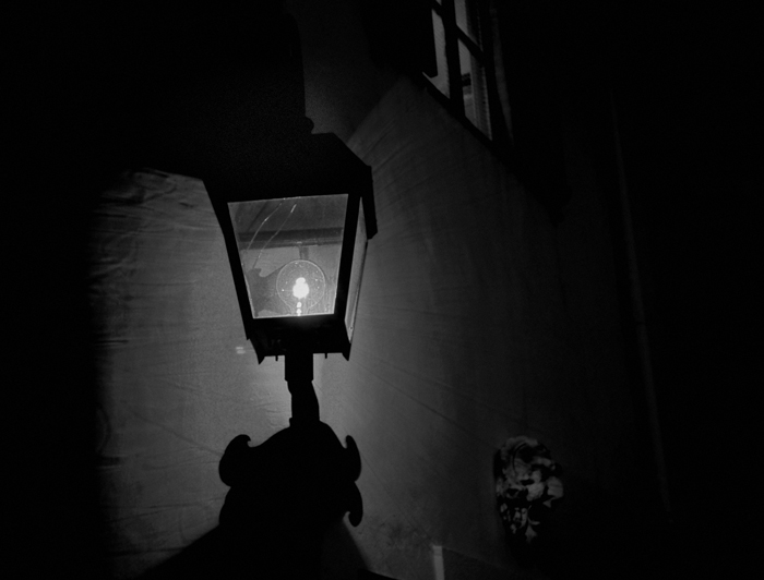 Lamplight No. 3