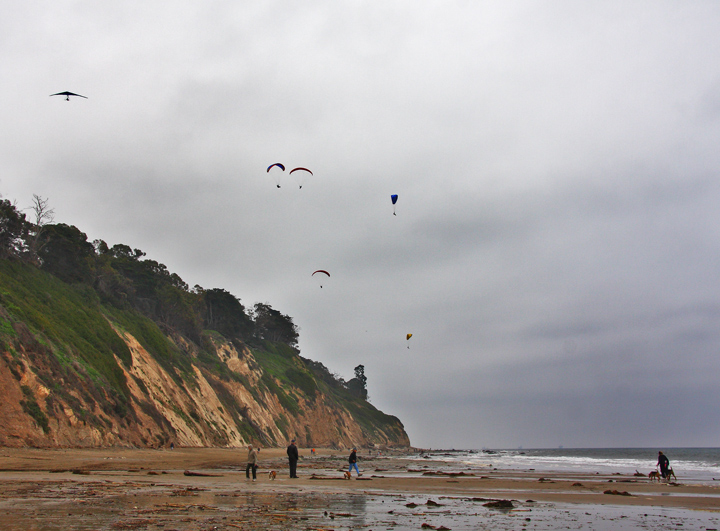 Beach Scene