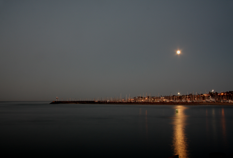 Harbor Lights