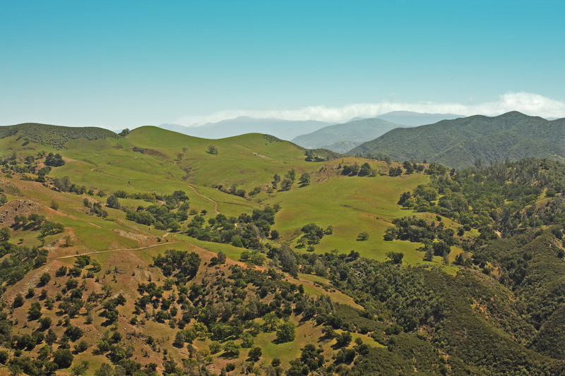 Down in the Valley