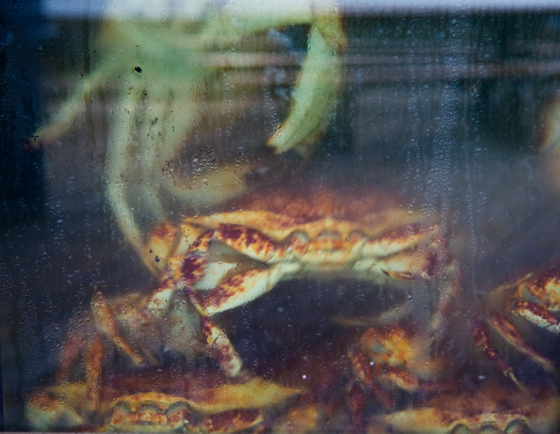 Fresh Crab