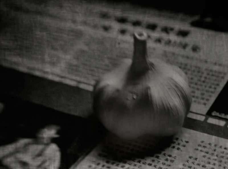 Garlic