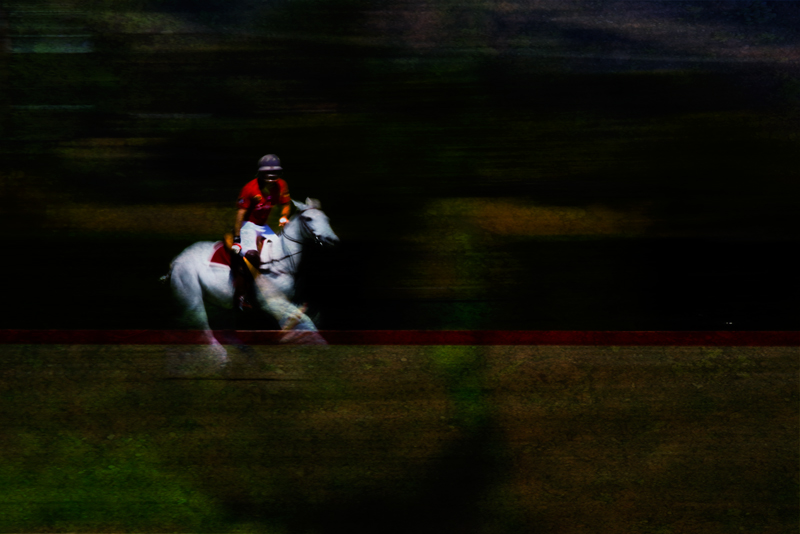 Polo No. 2