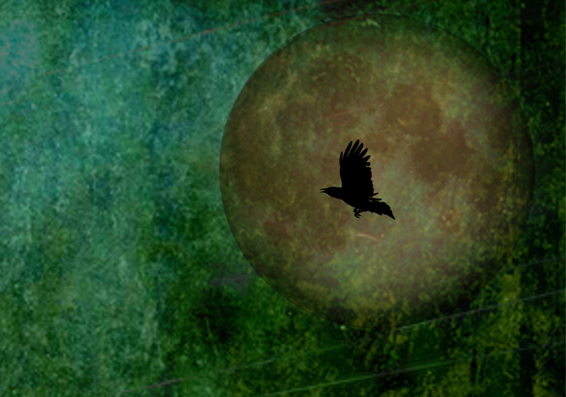Night Creature