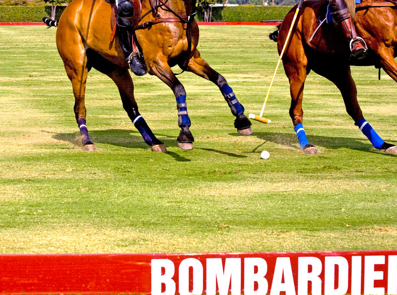 Polo No. 3