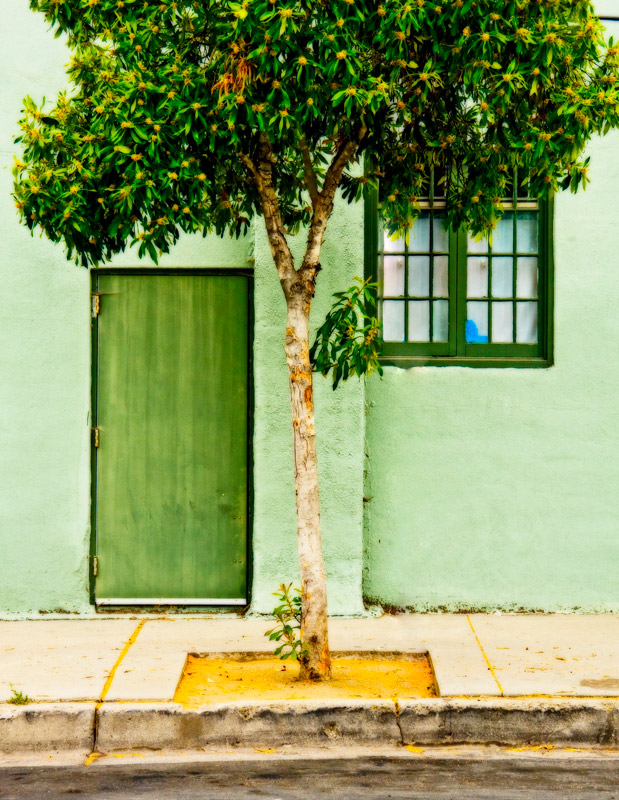 The Green Door