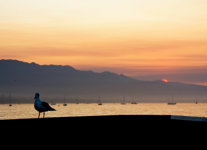 Sunrise