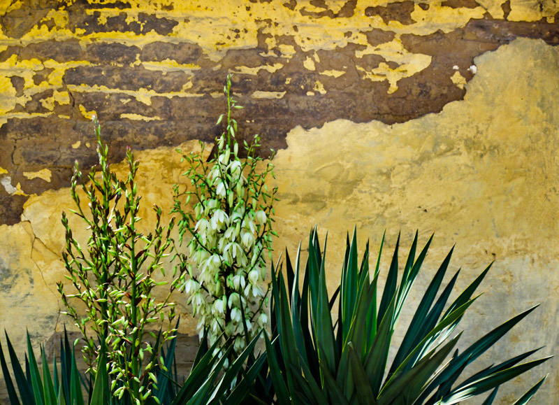 Wall