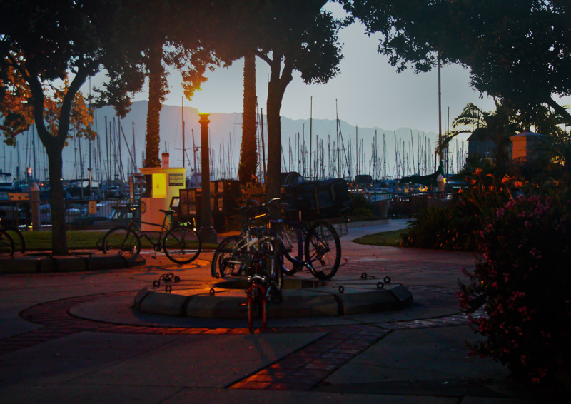 Bike Rack