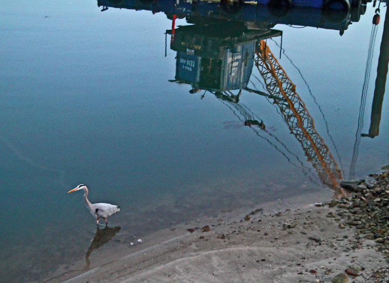 Heron and Floating Crane