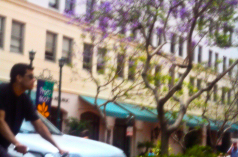 Urban Randomness