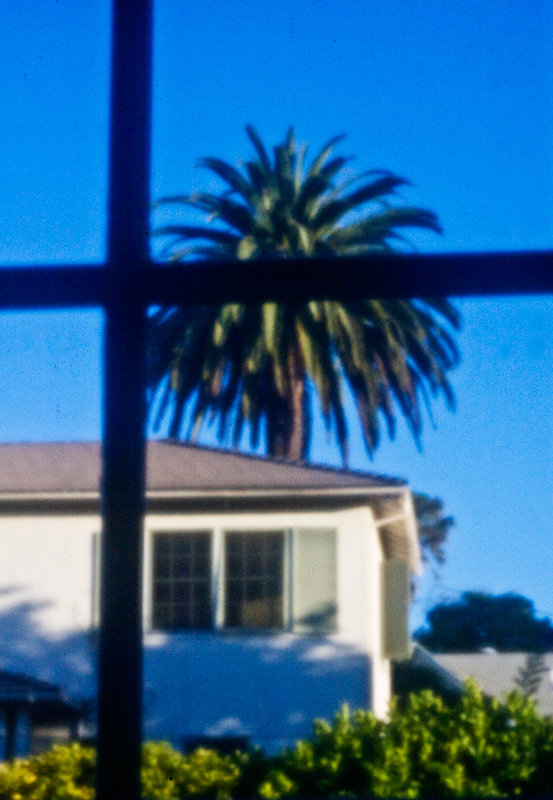 The Neighbors' House