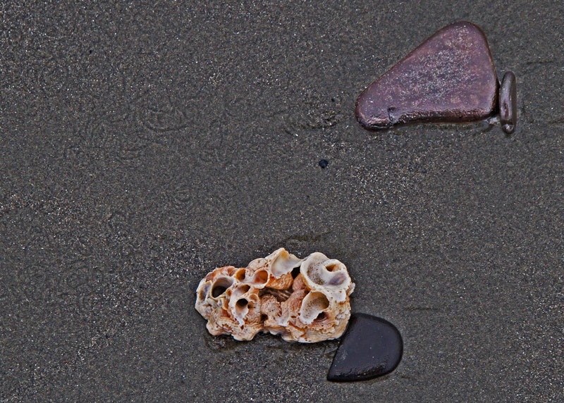Found Objects