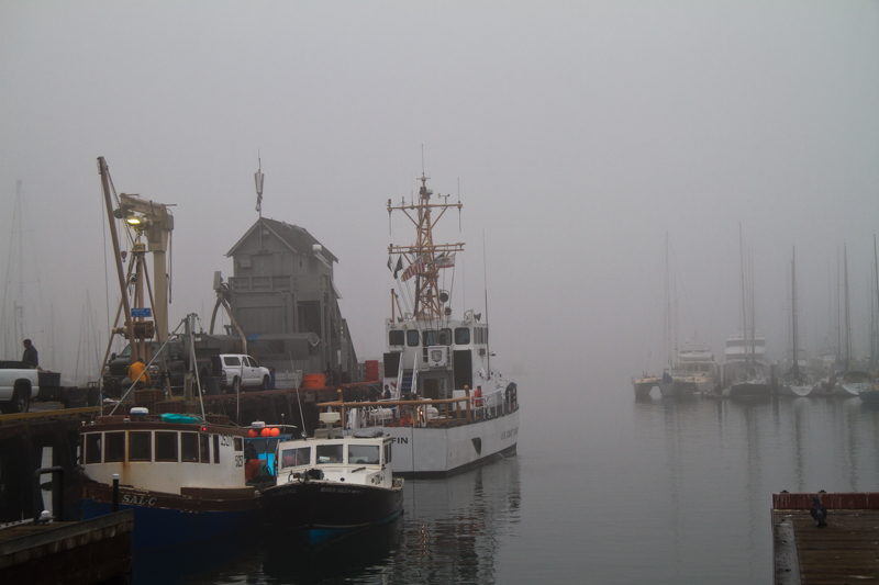 Ships in the Fog